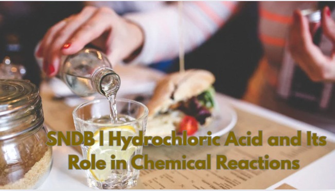 Hydrochloric Acid and Its Role in Chemical Reactions | SNDB – Best Exporter and Supplier
